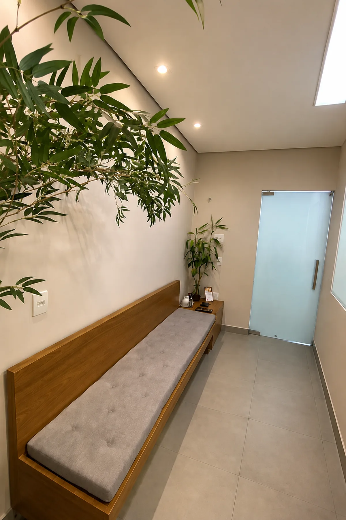 Hall de entrada da Clínica Laser Link, com banco em madeira, plantas e porta de vidro para os consultórios